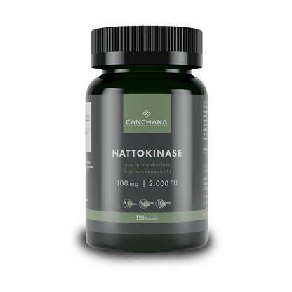 Nattokinase 2000 FU