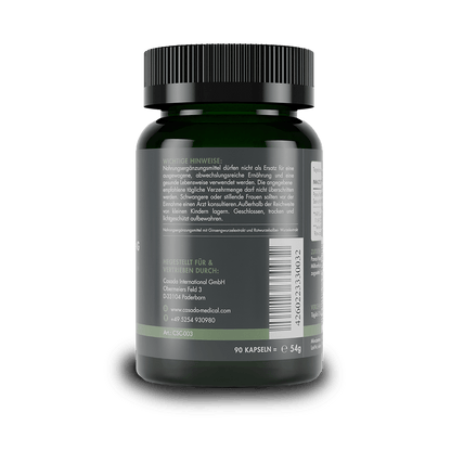 Notoginseng