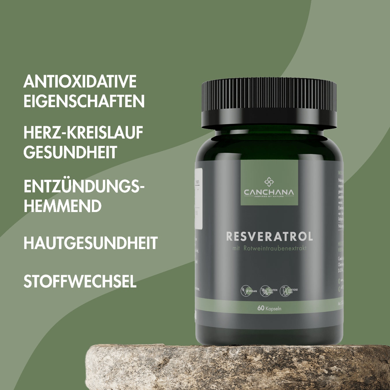 Herz-Kreislauf Balance