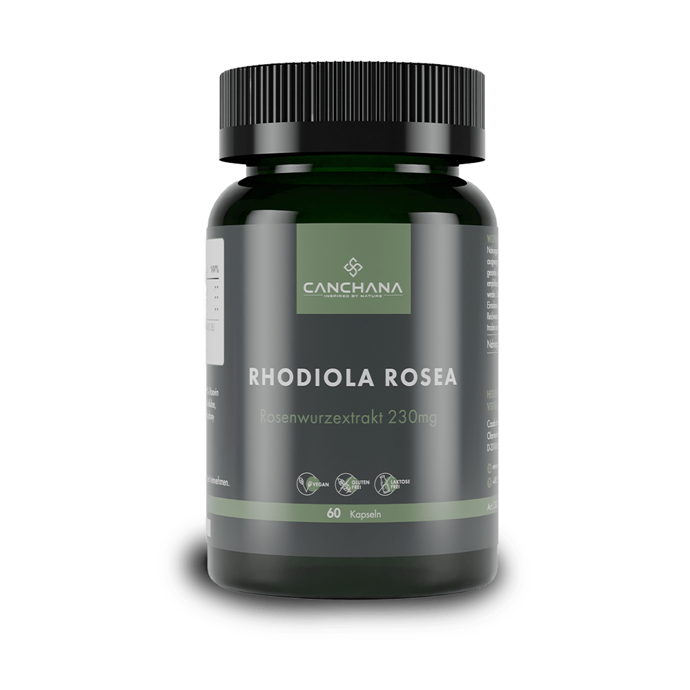 Rhodiola Rosea