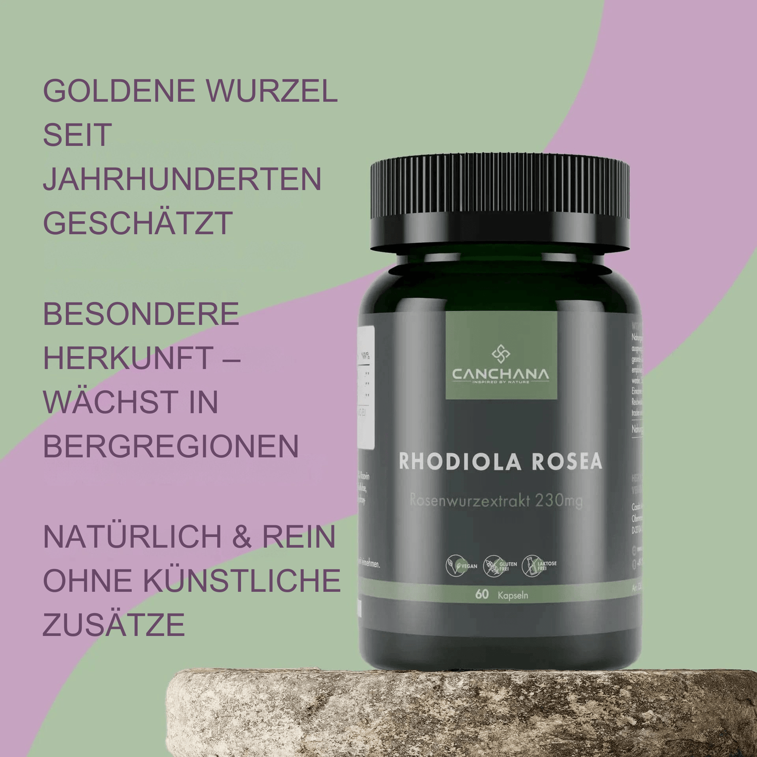 Rhodiola Rosea
