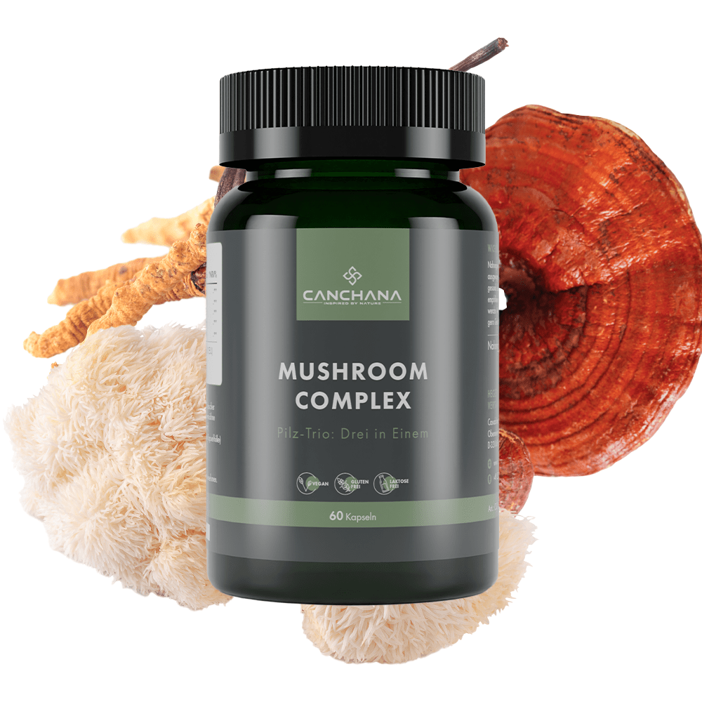 Mushroom Complex