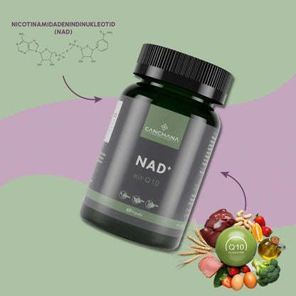 NAD+