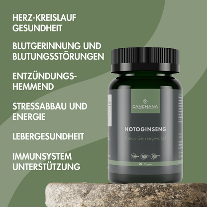 Lebens-Energie &amp; Wohlbefinden